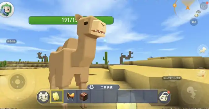 骆驼怎么驯服怎么骑
