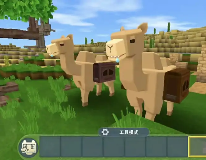 骆驼怎么驯服怎么骑