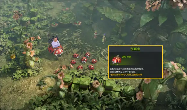 坐骑怎么使用,命运方舟