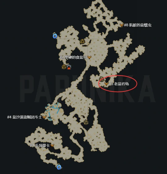 老盐岩龟在哪,命运方舟