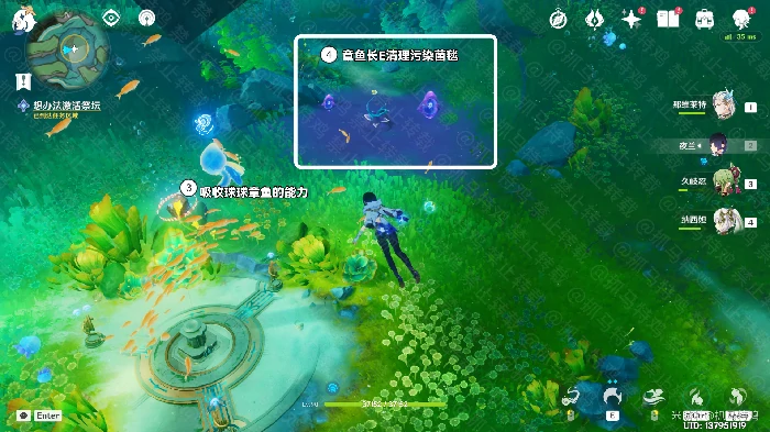 伊黎耶的野精灵任务攻略,原神