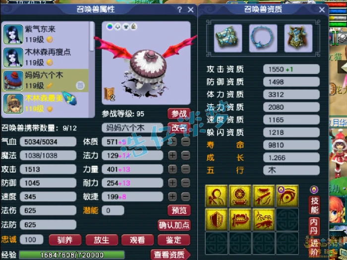 109花果山百套装备展示图,梦幻西游