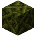 诡厄巫法建筑方块合成表大全我的世界