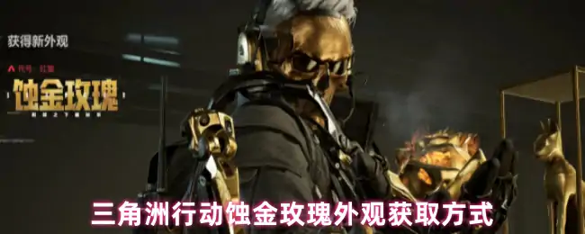 蚀金玫瑰外观获取方式