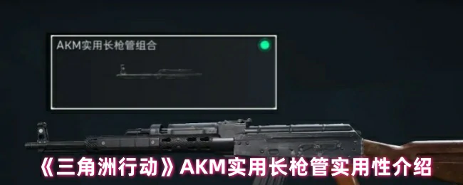 AKM实用长枪管实用性介绍,三角洲行动