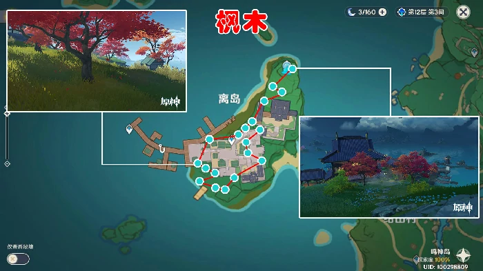 原神枫木在哪里采集,原神