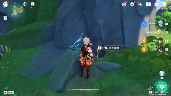 幻境海螺位置在哪,原神