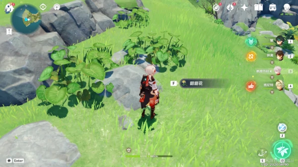 幻境海螺位置在哪,原神