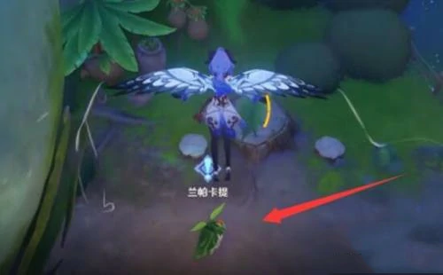 梦中的苗圃与兰那罗一同冒险怎么做,原神