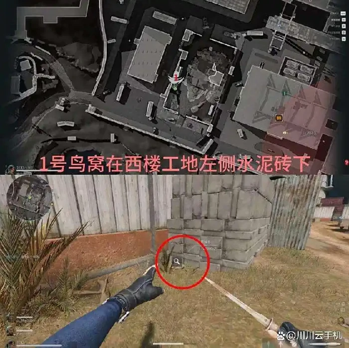 神奇鸟窝位置一览,三角洲行动