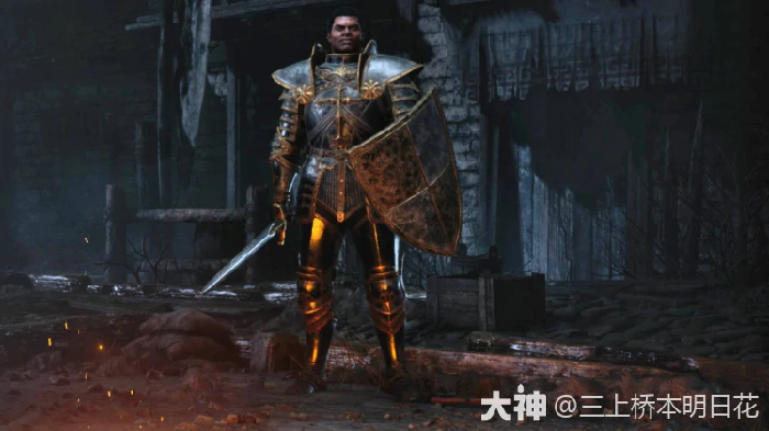 暗黑2祝福之锤圣骑士怎么玩