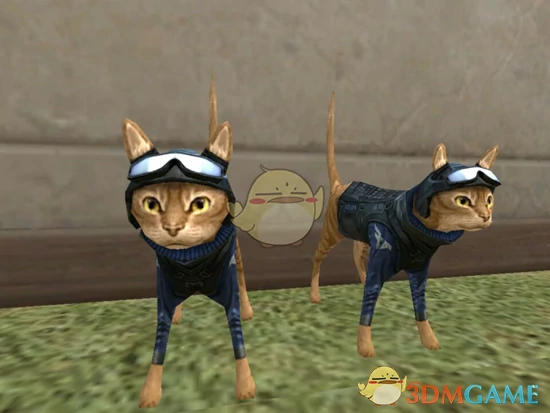 CF顶级武器猫枪介绍