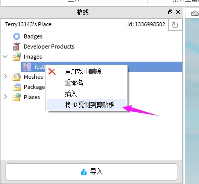 导入自定义贴图