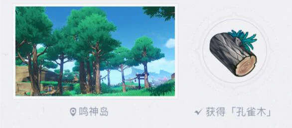 孔雀木分布位置,原神