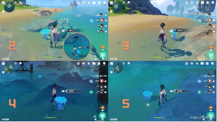 原神海灵芝分布图,原神