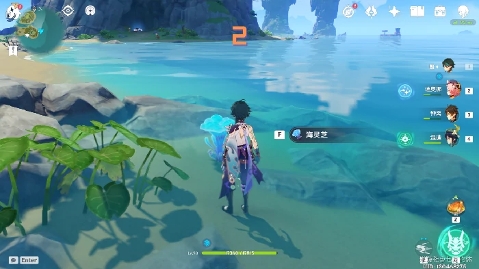原神海灵芝分布图,原神