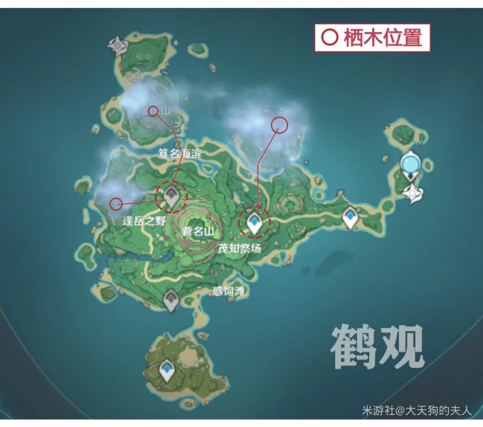 雾海与树之祭怎么做,原神