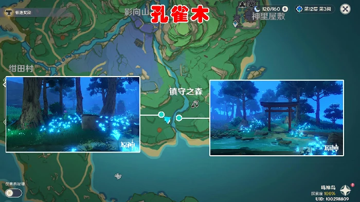 原神孔雀木在哪里采集,原神
