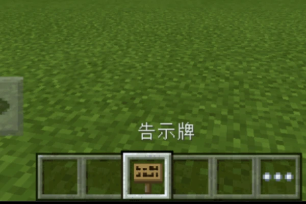 特殊符号怎么打出来,我的世界