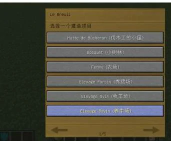 怎么让村民建造村庄,我的世界