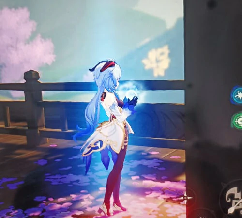 须弥调查走廊深处的庭院攻略,原神