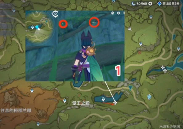 劫波莲分布图,原神