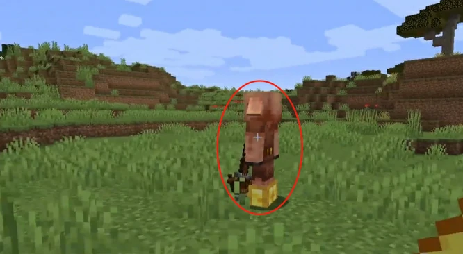 怎么跟猪灵交易,我的世界