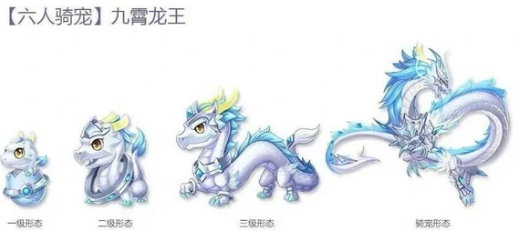 宠物推荐