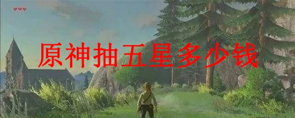 原神抽五星多少钱,原神