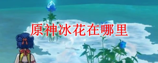 原神冰花在哪里,原神