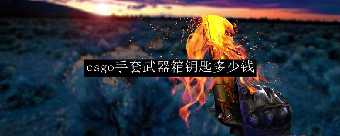 csgo手套武器箱钥匙多少钱