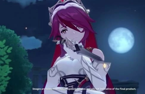 原神罗莎莉亚主c阵容怎么玩,原神