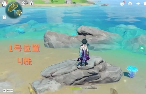 原神海灵芝采集路线是什么,原神