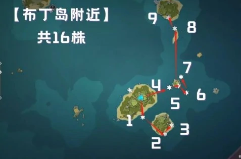 原神海灵芝采集路线是什么,原神
