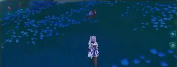 稻妻狸猫在哪里,原神