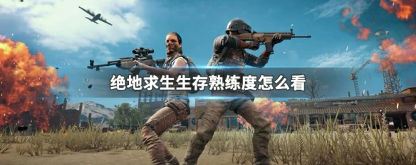 生存熟练度在哪看,绝地求生