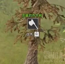 怎么快速赚金币