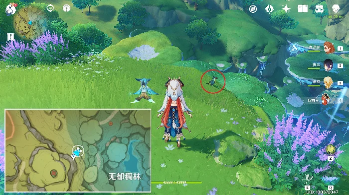 原神暝彩鸟在哪抓,原神