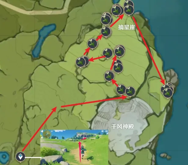 原神塞西莉亚花快速采集路线,原神