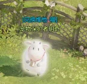 家园怎么玩,命运方舟
