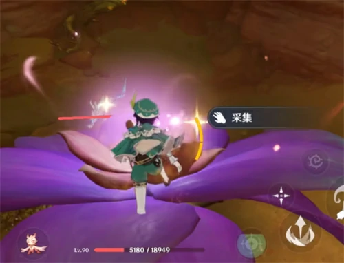 忧昙花为什么会消失,原神