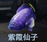 钓鱼点大全