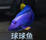 钓鱼点大全
