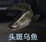 钓鱼点大全