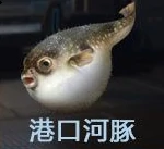 钓鱼点大全