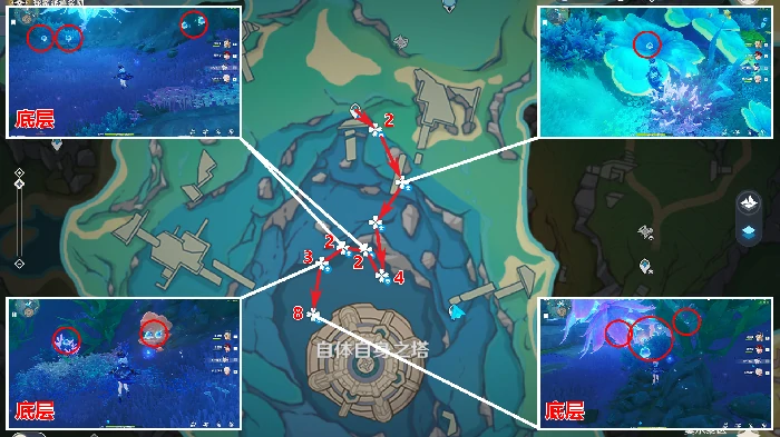 初露之源采集路线,原神