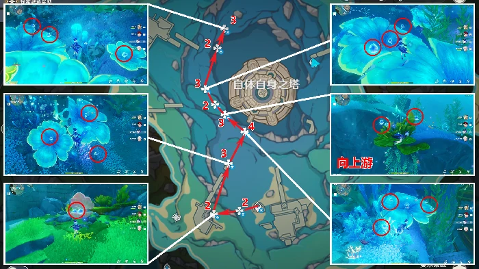 初露之源采集路线,原神