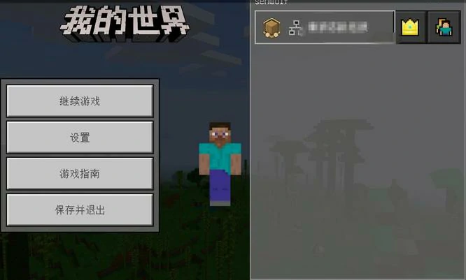 服务器怎么永久保存存档,我的世界
