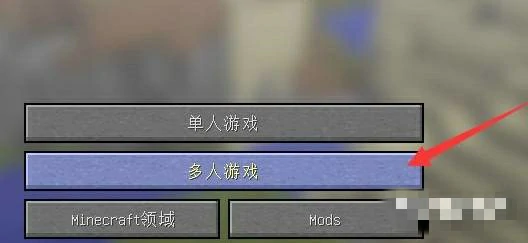 服务器地址怎么输入,我的世界