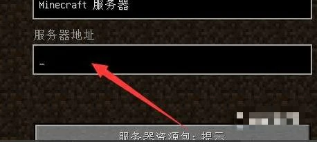 服务器地址怎么输入,我的世界